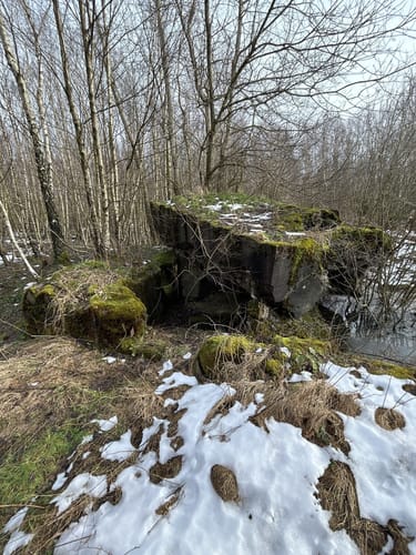 Auf den Spuren der Schlacht im Hürtgenwald