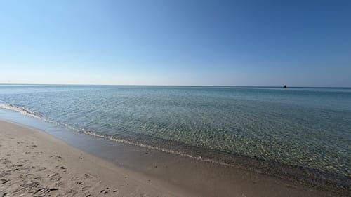 Darßer Urwald und Libbertsee ab Prerow