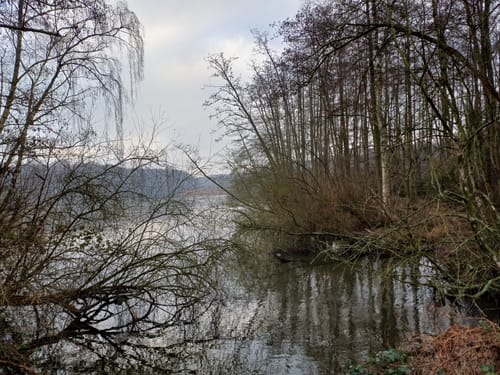 Niederkrüchten Mührather Hof: Zwei Seen Runde (alternativ)