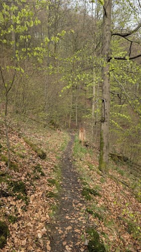 Von Sieber über die Aschentalshalbe