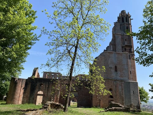 Bad Dürkheim - Kloster Limburg - Bad Dürkheim