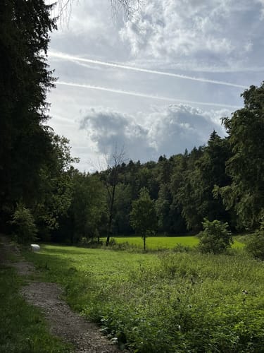 Rundweg Kirchthalmühle