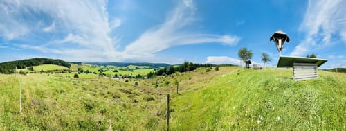 Schluchtensteig Etappe 5: St. Blasien - Todtmoos
