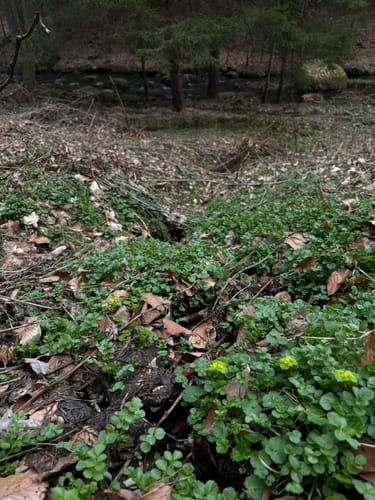 Rundweg durch die Hölle