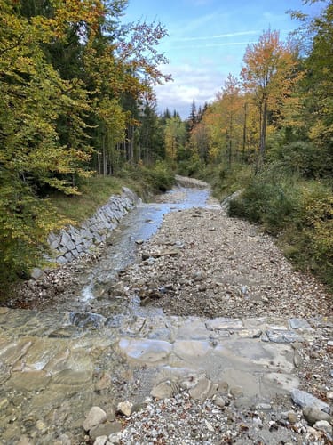 Hinteres Hörnle von Grafenaschau