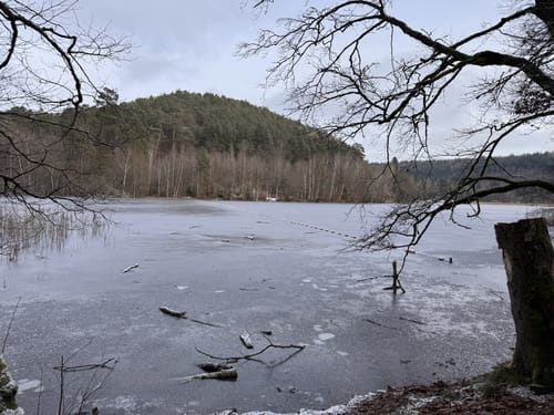 Um die Gelterswoog