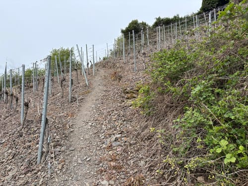 Apolloweg Valwig und Brauselay