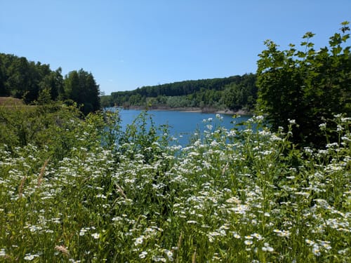 Rundweg D4 - Naturwelten