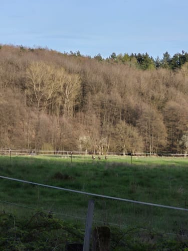 Hebenhübel ab Mackenbach
