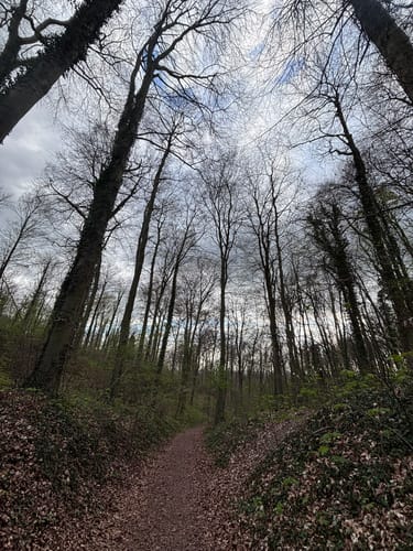 Canyon Tour (Premiumspazierwanderweg)