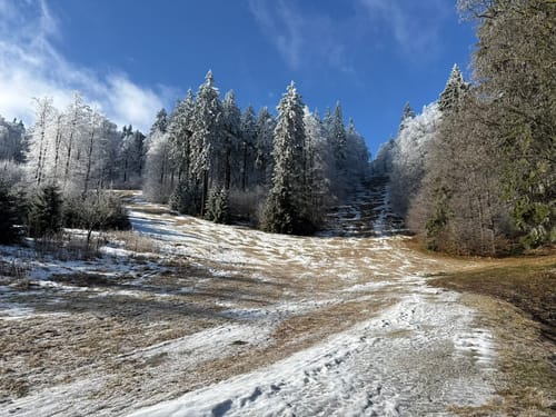 Großer Inselsberg Rundweg