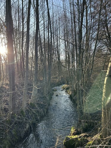 ZA2 Seenweg - Wanderdreiklang Zaberfeld