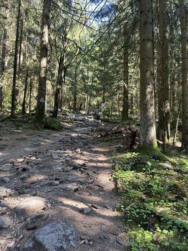 Kösseine Rundweg