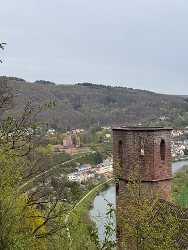 Rundwanderweg Neckarsteinach: Ochsenkopf-Weg [CLOSED]