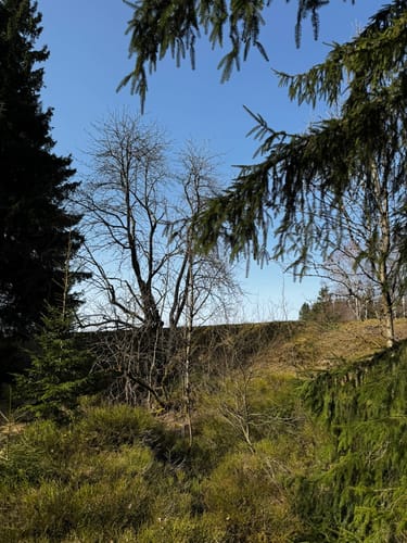 WasserWanderWeg: Clausthaler Teiche