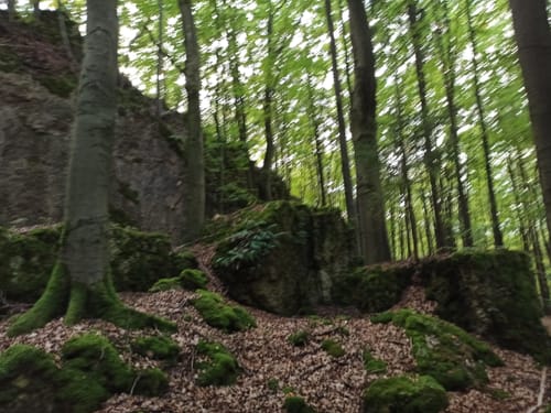 Höhlenrundweg