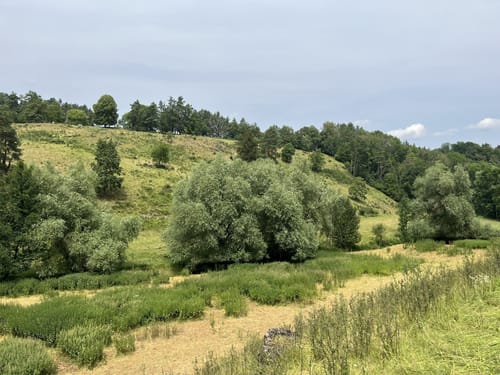 Egloffstein zu dem Burgstein