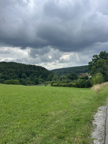 Bebenhausen - Goldersbachtal - Wildgehege