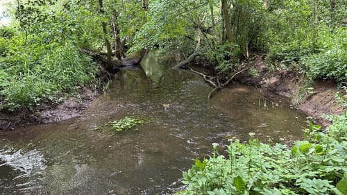 Walkenried - Sachsenstein - Kranichteiche