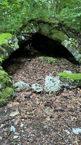 Walkenried - Sachsenstein - Kranichteiche