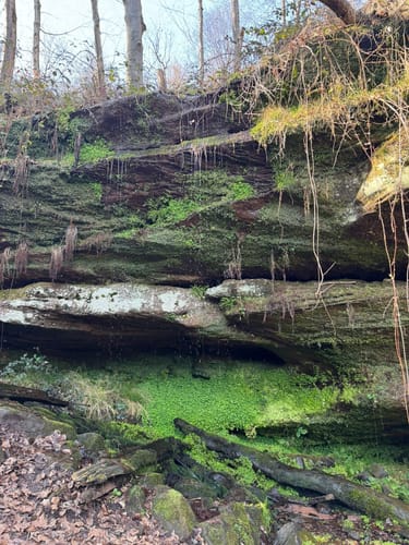 Rodalben - Bärenhöhle