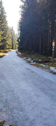 Zum Forsthaus Sattelbach