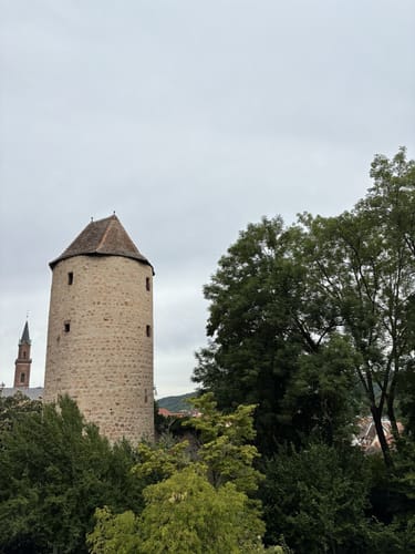 Vom Schlosspark zur Wendt Hütte
