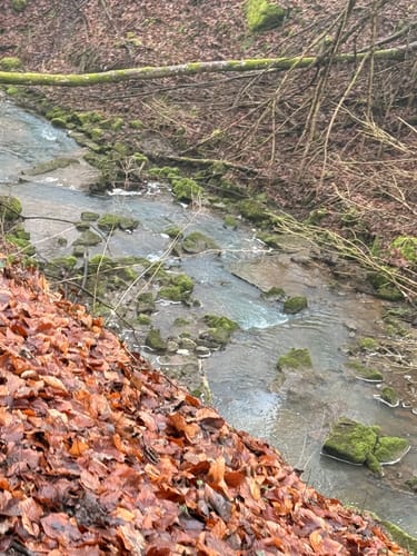 Vom Felsenweiher entlang dem Gutenbach