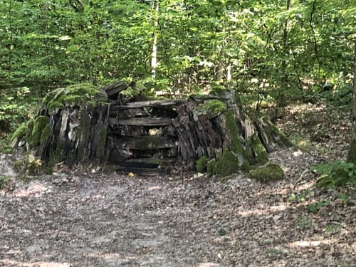Druidenpfad bei Niedaltdorf