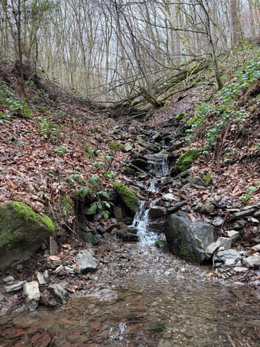 Nat'our Route 2 - Mittleres Ourtal (Premiumwanderweg)