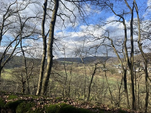 Waldbreitbacher Wiedtraum