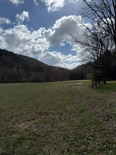 Breitenwald ab Hauptstuhl