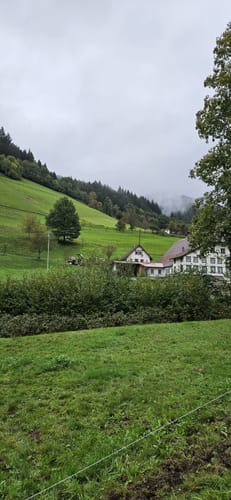 Mühlen-Rundwanderweg Simonswald