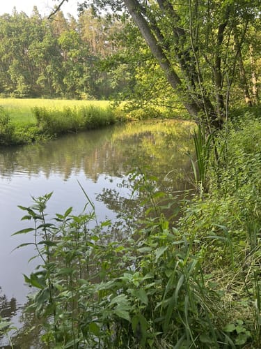 Rundwanderweg Aurachtal