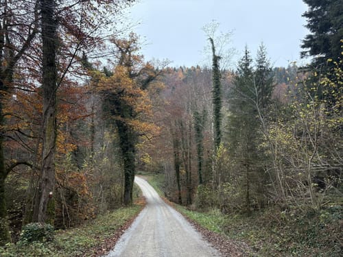 Um den Schmalegger Wasserfall und Ringgenburg