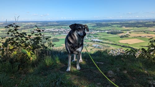 Heubach Wanderweg 5 "Die Rosenstein-Pfaffensturz-Tour"