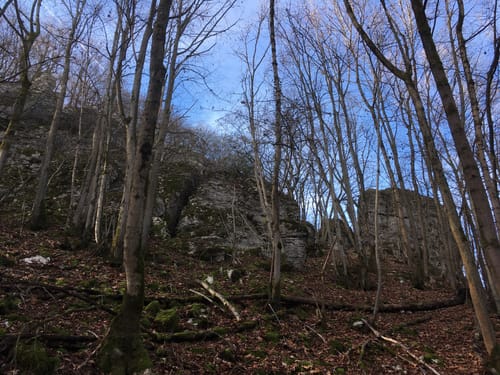 Rund um Frankendorf