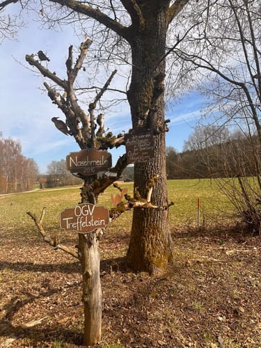 Rund um den Silbersee TB10