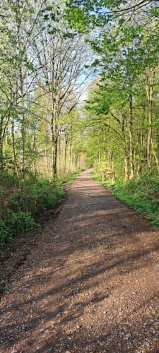 Wadgassener Buchholz Runde