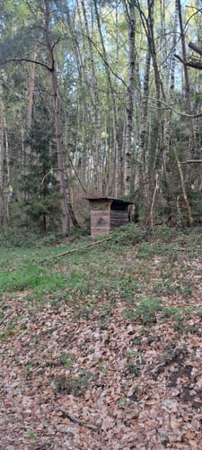 Wadgassener Buchholz Runde