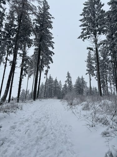 Großer Zacken und Weilsberg