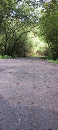 Unterbacher See Rundweg