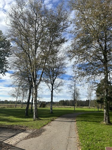Durch den Wackelwald