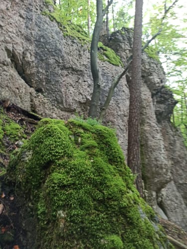 Höhlenrundweg
