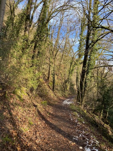 Burgruine Neideck – Ruine Streitburg von Muggendorf