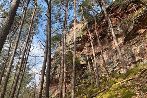 Wald-Erlebnisweg Schindhard