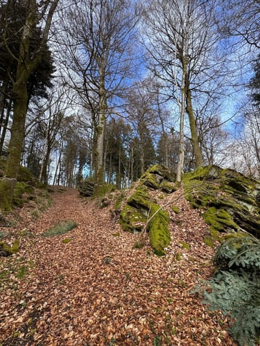 Holsthum - Ferschweiler (Naturpark Südeifel Wanderweg Nr. 58)