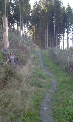 Jubach Talsperre - Lüdenscheid
