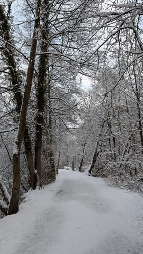 Alstertal zwischen Sasel und Poppenbüttel
