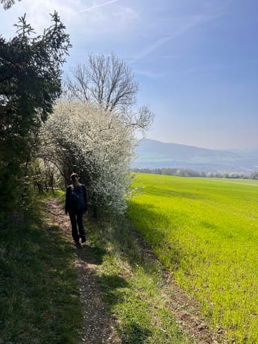 Hewensteig (Hegauer Kegelspiel)